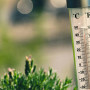 Termometer